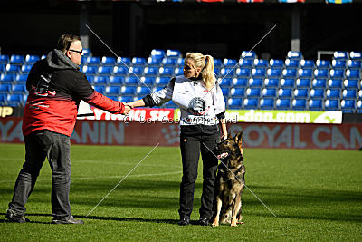 Duke vom Spektefeld