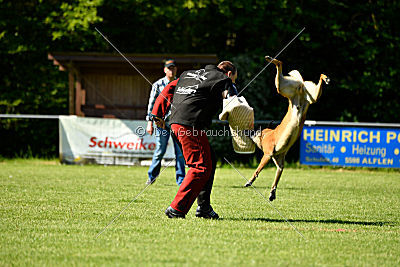 Duncan Dubalta vom Clan der Wölfe