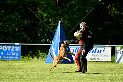 Duncan Dubalta vom Clan der Wölfe