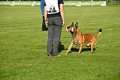 Duncan Dubalta vom Clan der Wölfe