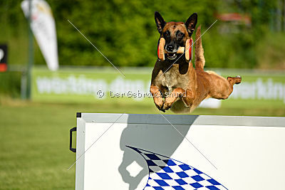 Duncan Dubalta vom Clan der Wölfe