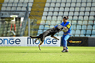 Dusty vom grauen Indianer