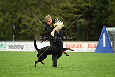 Dux vom Luisenhof