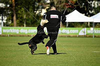 Dwaynetherock von den Barbaren