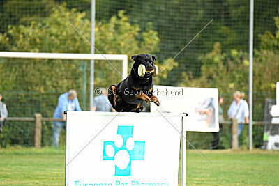 Dwaynetherock von den Barbaren