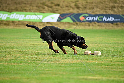 Dwaynetherock von den Barbaren