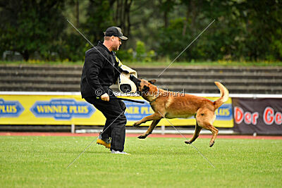Dylan vom puren Leben