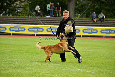 Dylan vom puren Leben