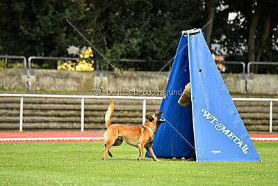 Dylan vom puren Leben