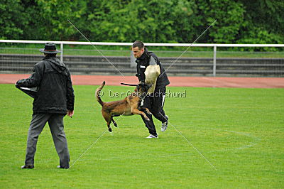 E'Fight vom Brunsbeker Land