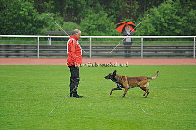 E'Fight vom Brunsbeker Land