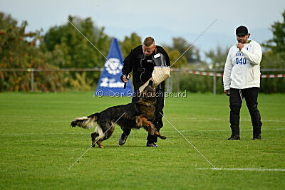 Ebony von der Nibelungenburg