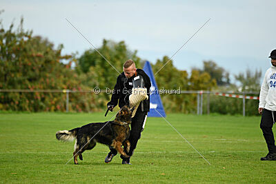 Ebony von der Nibelungenburg