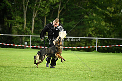 Ebony von der Nibelungenburg