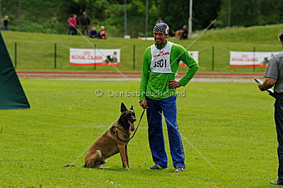 Ebor ot Vitosha