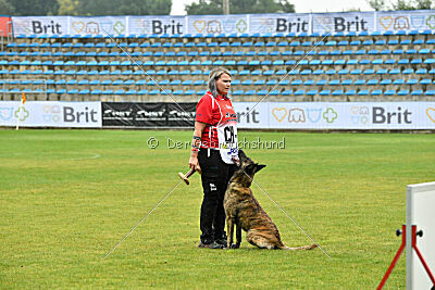 Ecco des Dragons du Courtival