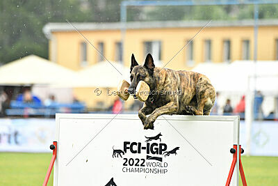 Ecco des Dragons du Courtival