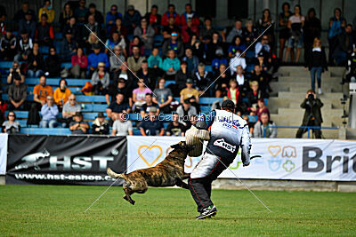 Ecco des Dragons du Courtival