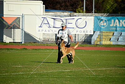 Eddard Stark Is Always Crazy