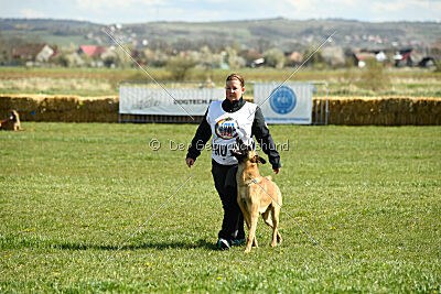 Eddard Stark is Always Crazy