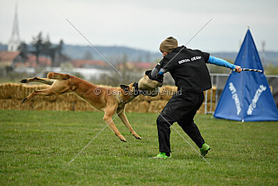 Eddard Stark is Always Crazy