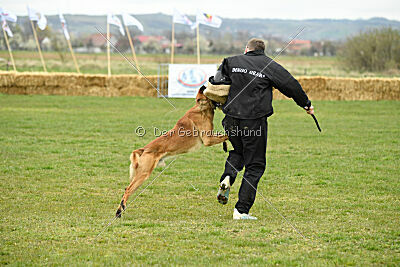 Eddard Stark is Always Crazy