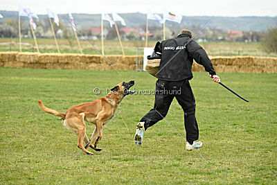 Eddard Stark is Always Crazy