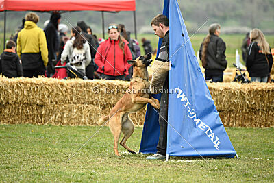 Eddard Stark is Always Crazy