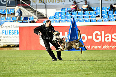 Eddi vom Niederbühler Tor