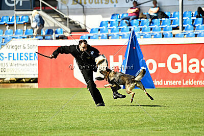 Eddi vom Niederbühler Tor