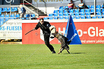 Eddi vom Niederbühler Tor