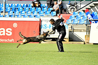 Eddi vom Niederbühler Tor