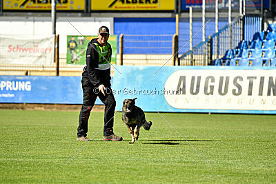 Eddi vom Niederbühler Tor