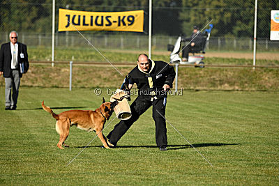 Eddie vom Maliattack