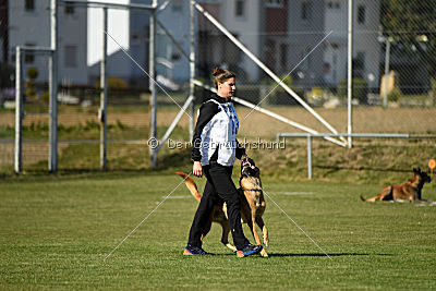 Eddie vom Maliattack