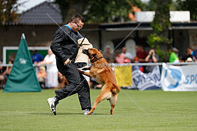 Eddie von Maliattack