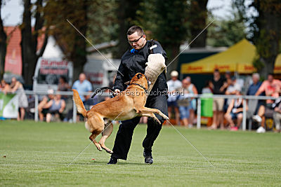 Eddie von Maliattack