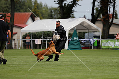 Eddie von Maliattack