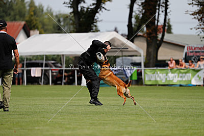 Eddie von Maliattack