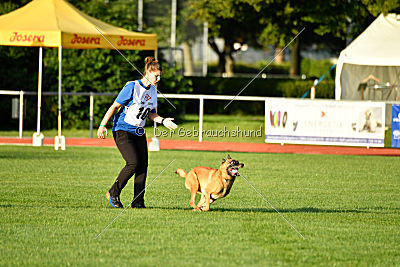 Eddie von Maliattack