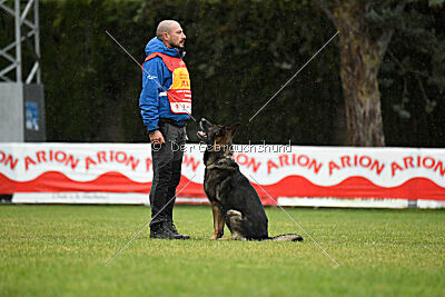 Eddy vom Isarland