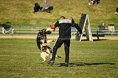 Eddy vom Team Nordsturm