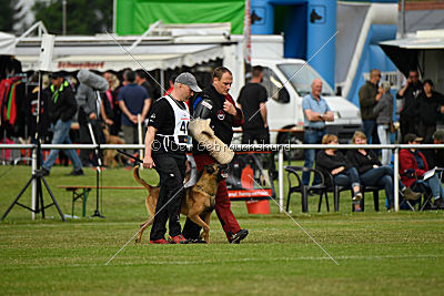 Eddy von der Katzenhecke