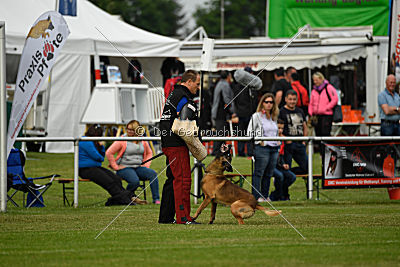 Eddy von der Katzenhecke