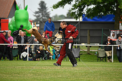 Eddy von der Katzenhecke