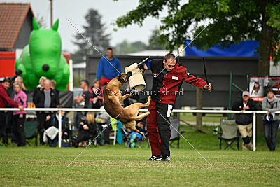 Eddy von der Katzenhecke
