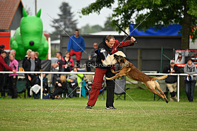 Eddy von der Katzenhecke