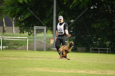 Eddy von der Katzenhecke