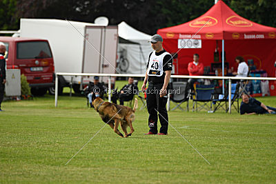 Eddy von der Katzenhecke