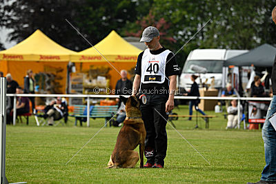 Eddy von der Katzenhecke